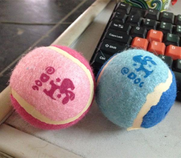 Buy cheap 2014 new pet products from wholesalers