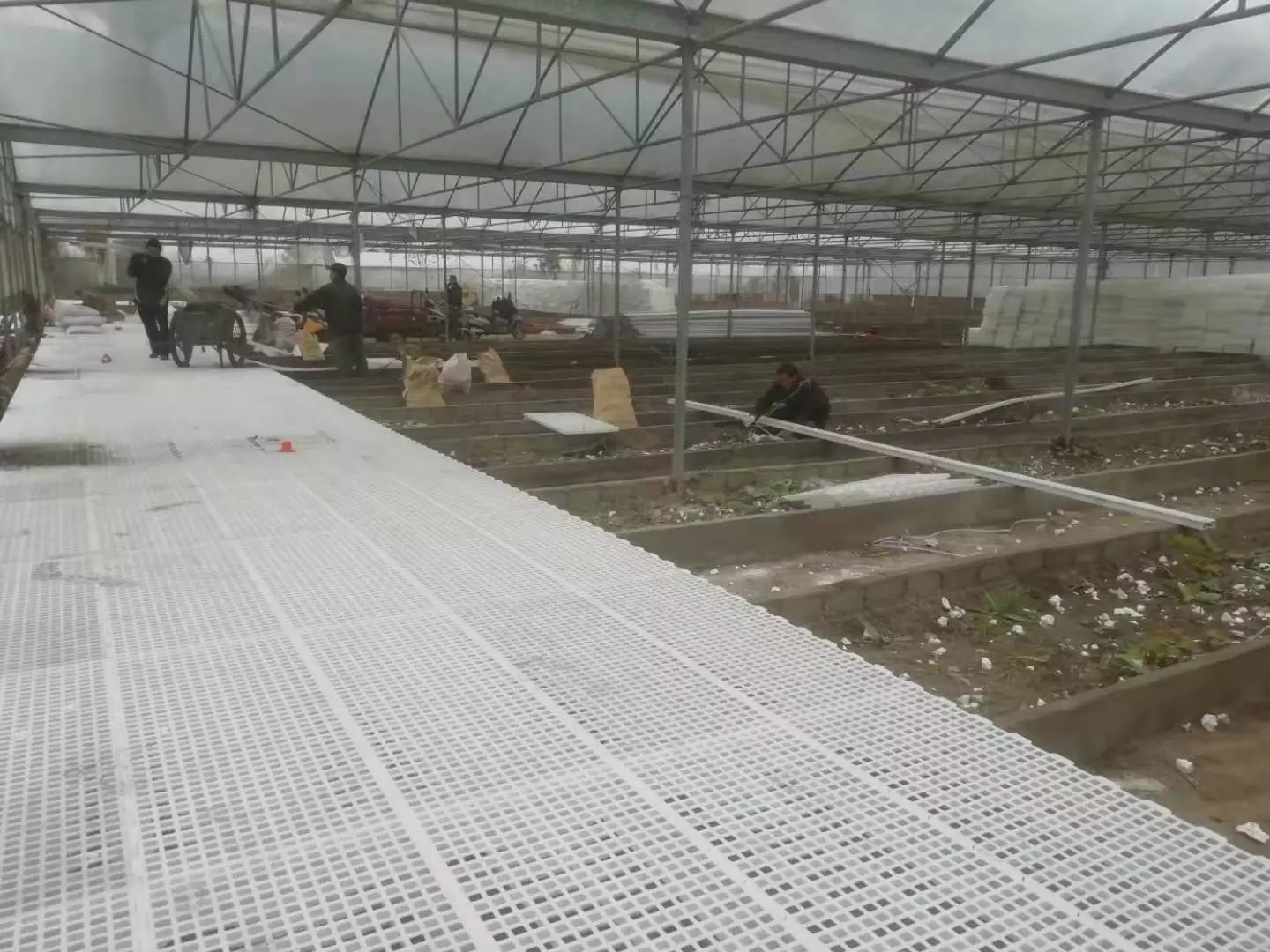 100% Pure PP Broiler 40mm Slatted Floor System In Poultry