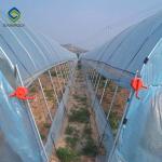 Anti Corrosion Plastic Film 10m Single Tunnel Greenhouse