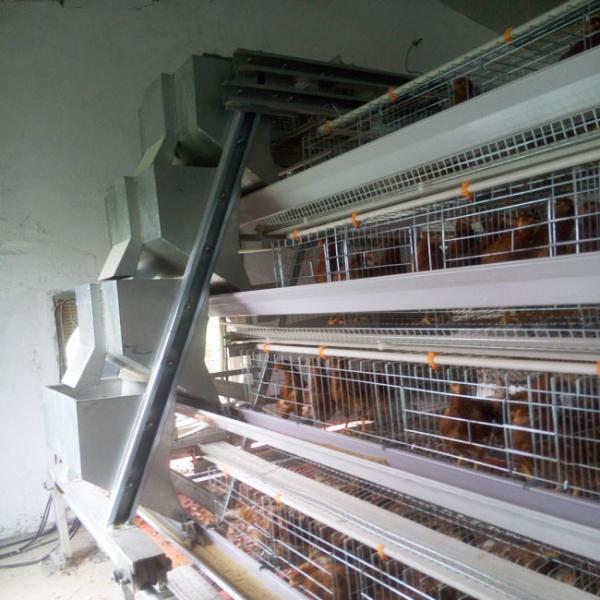 Buy cheap Laying Eggs Hens Chicken Cage Domestic Bird For Hens Hot Dipped Galvanised from wholesalers