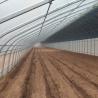 Buy cheap Film Covered Sunlight-Enhanced Greenhouse for Cucumber Cultivation in Sand Culture from wholesalers