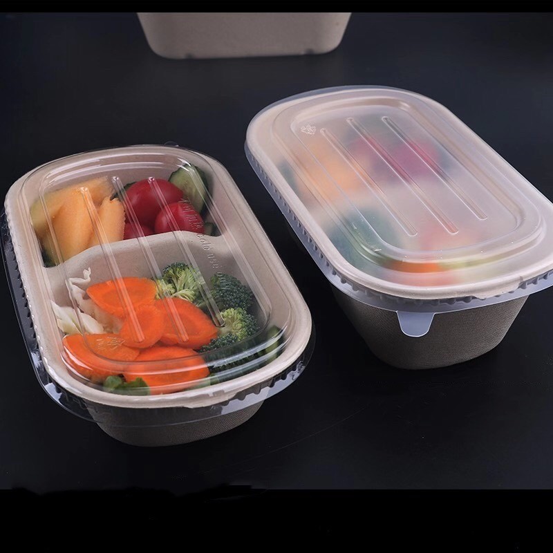 Eco Food Packaging Biodegradable Takeaway Boxes Compostable Disposable Food Container