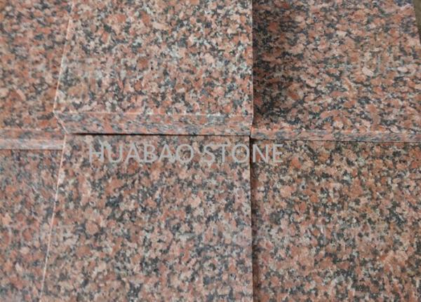 G562 G664 Granite Slab Tiles Vanity Width 300*300 300*600mm For Indoor And