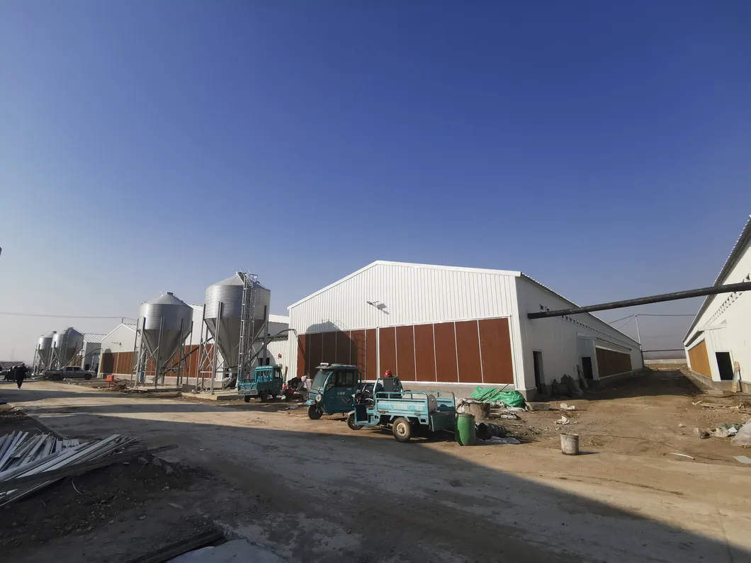 Prefabricated Glavanized Light Steel Structure Farm Poultry House Shed