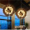 Buy cheap Hot Selling Modern Dandelion Glass Pendant Lamp for Living Room lighting Home Lighting Hotel Lighting Shop Lighting from wholesalers
