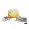 Buy cheap Secretory Immunoglobulin Elisa Assay Kit , 96 Wells Immunoassay Test Kits from wholesalers