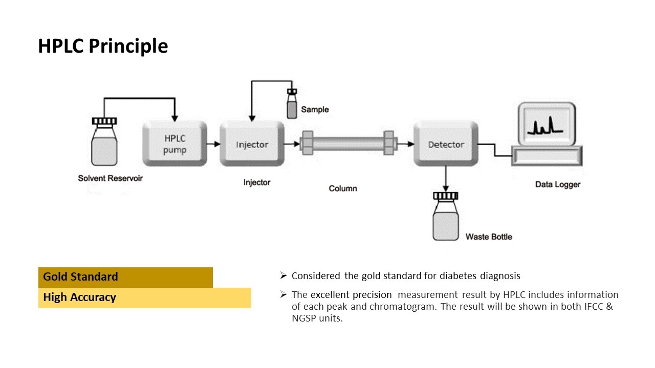 Chromatographic Column HPLC HbA1c Analyzer For HbA1c Test Fully Automatic