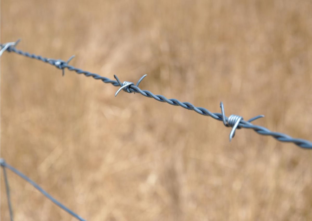 Anti-climbing Hot Dipped Galvanized Barbed Wire for Zimbabwe Farm Length Per Roll