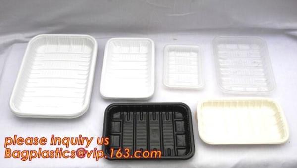 Buy cheap Corn Starch Biodegradable Plastic Meal Prep Tray, Eco-friendly bio disposable corn starch lunch trays, corn starch biode from wholesalers