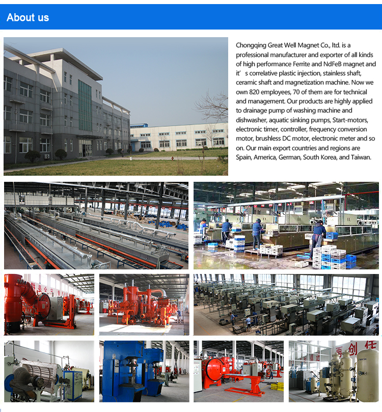 4 Poles 12.4-28 Injection Molded Plastic Ferrite Ceramic Magnet Rotor for Variable Frequency Air-condition Motor
