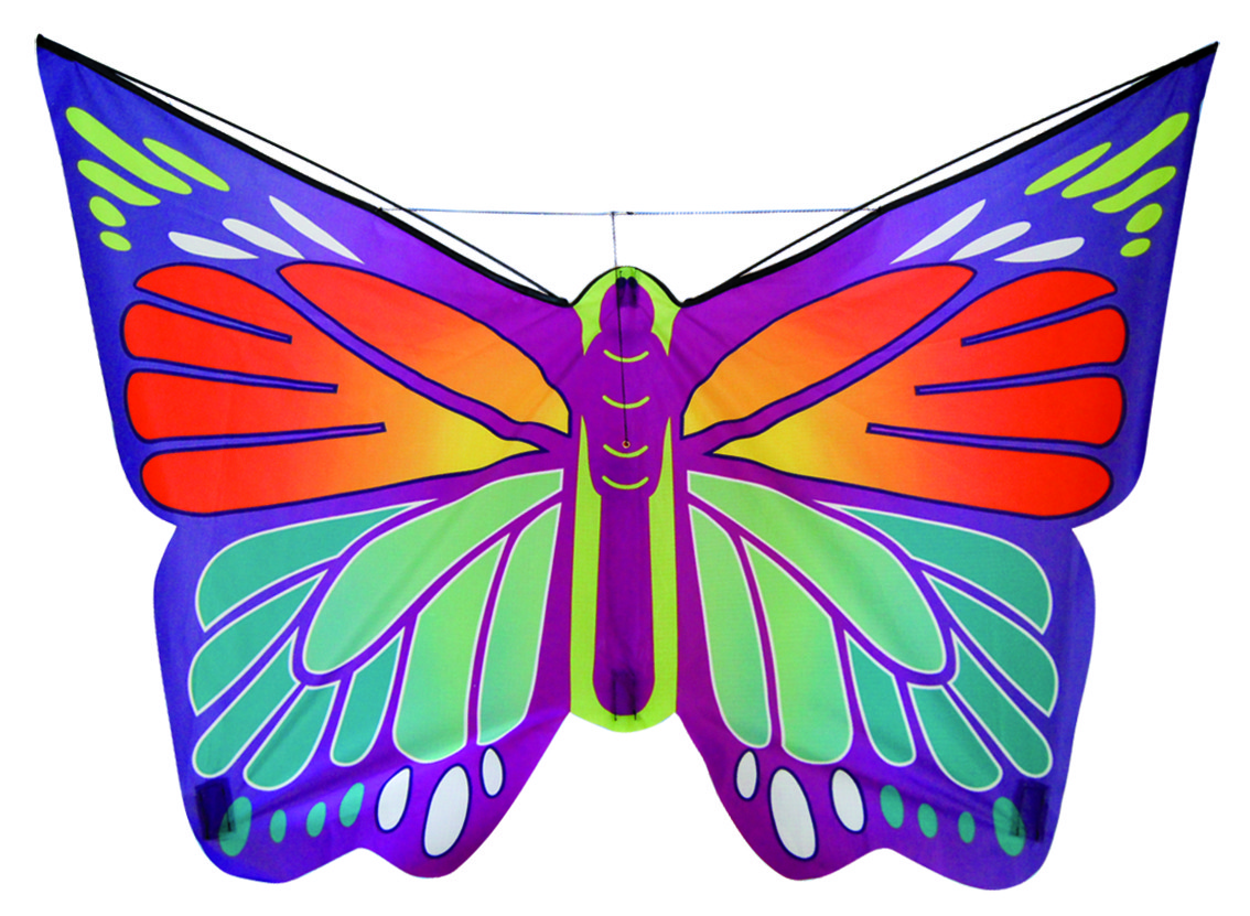 Stackable Butterfly Kite Various Color Fabric Material For Beach Sporting