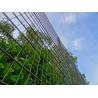 Buy cheap Home Garden 50x100mm Double Wire Mesh Fencing Powder Coated from wholesalers