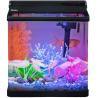 Buy cheap 4 Gallon Smart Hygger Low Maintenance Fish Tank from wholesalers