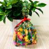 Buy cheap New Design Christmas Candy Bags Plastic Gift Bags Package Treat Bags from wholesalers
