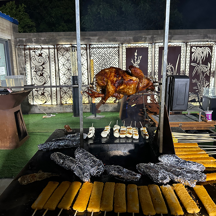 Camping Outdoor stove BBQ Grill