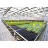Buy cheap Single Layer Toughened Glass Greenhouse , Insulating Intelligent Greenhouse from wholesalers