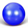 Buy cheap 55cm Workout Yoga Ball Anti Burst Gym Ball from wholesalers