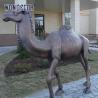 Buy cheap WONDERS Life size outdoor Bronze Camel Statue Bronze Camel Figurine from wholesalers