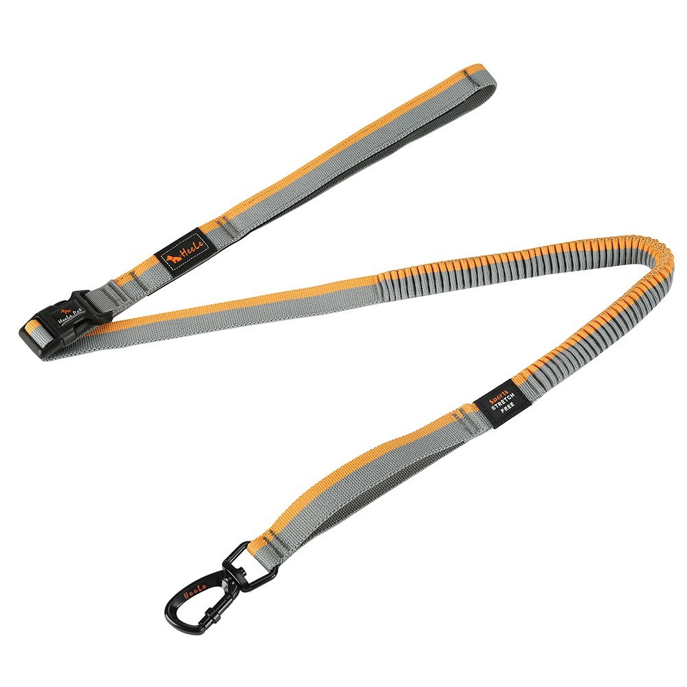 waist lead for dog