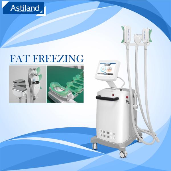 Quality 2000W Cryo &amp; shockwave 8 Size Head For Fat Removal Machine for sale