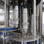 Mandarine Citrus Fruit Juice Production Line Lime Orange Industrial Lemon Juicer