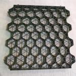 Distribute Loading Parking Lot Fire Lane HDPE Plastic Grass Paver Gravel