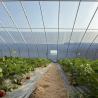 Buy cheap Commercial Aquaponics Greenhouse for Sunlight Sparay Irrigation Vegetable Production from wholesalers