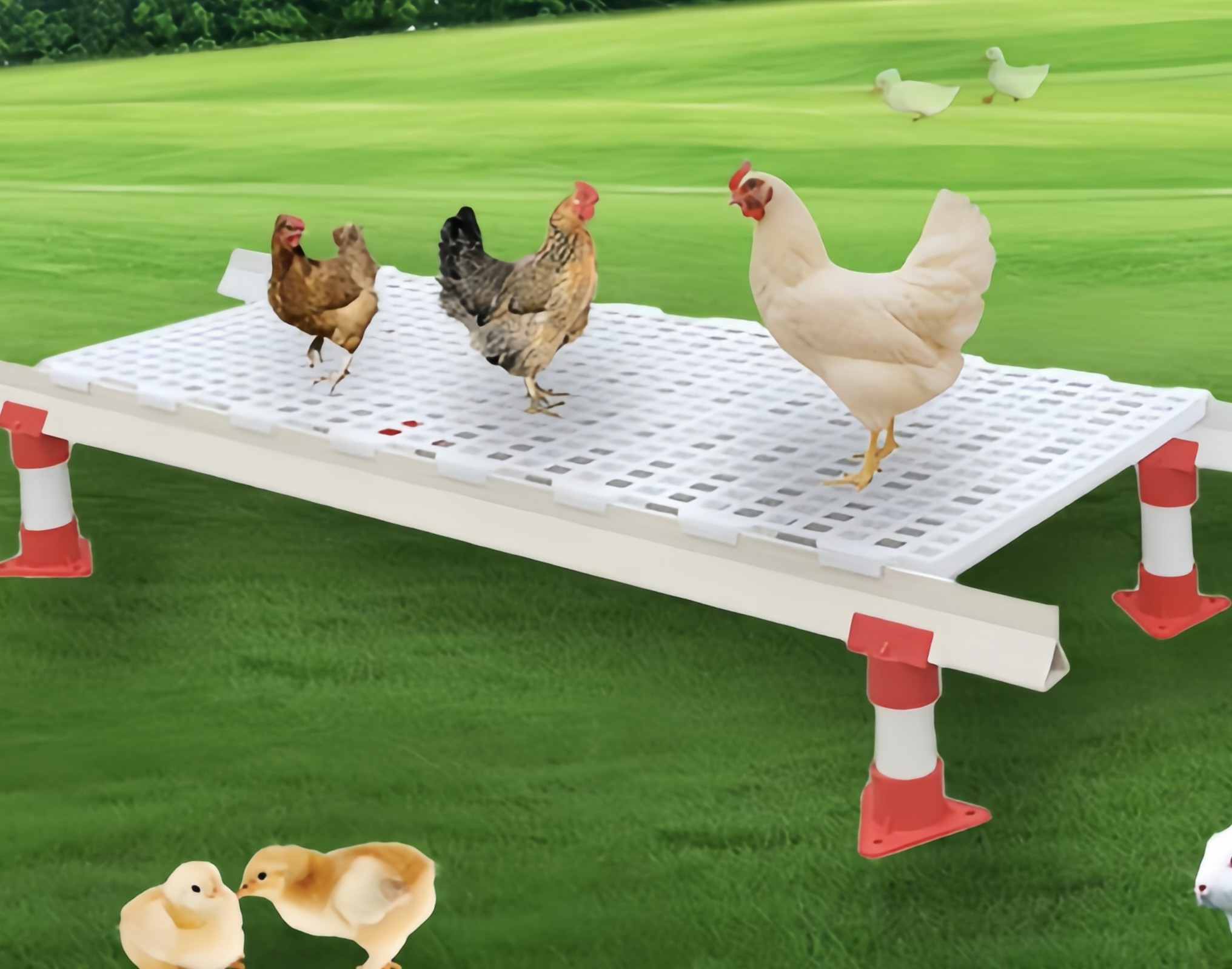 Ground Industrial Grid Slatted Floor Broiler House Plastic Poultry Flooring