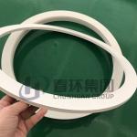 Heat Oil Resistant AS568 15% Glass Filled PTFE Gasket