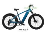Buy cheap Outdoor 26 Inch Electric Bike Off Road Riding Aluminum E Bike With LCD Display from wholesalers