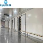 Blood Blast Freezer Cold Storage Room -40--18c Nature Production for Meat Fish