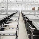 Ebb Flow Nursery Movable Abs Flood Rolling Bench Grow Table