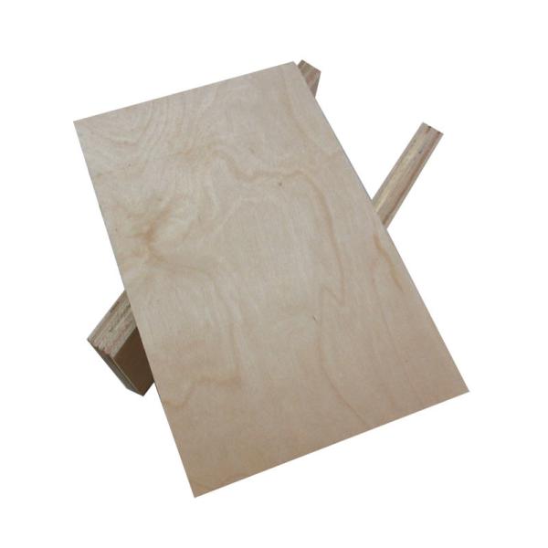 Buy cheap CARB 12mm 18m Birch Hardwood Plywood For Furniture from wholesalers