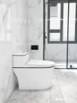 White Gold Siphon Flushing Modern Toilet Bowl Ceramic One Piece