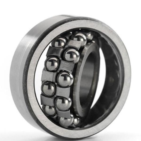 Double Row Self Aligning Radial Ball Bearing 1216K+H216/11216 Open Ball Bearing