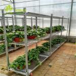 Multiple Shelf Danish Trolley Shelves