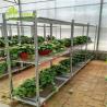 Buy cheap Multiple Shelf Danish Trolley Shelves from wholesalers