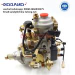 Buy Diesel Fuel Injection Pump ADS-VE6/11F1150RNP,NJ-VE6/11F1150RNP239 VE-type