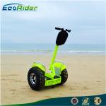 2 Wheel Self Balancing Scooter Off Road Segway Brushless Motor 4000w 110-240V
