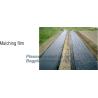 Buy cheap Punched Airs Holes Mulching Film UV Stabilized Anti Weed White or Silver Black Reflective PE Garden Plastic Mulch Film from wholesalers