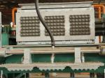 Fully Automatic Large Capacity Egg Carton Production Line 3*4 Forming Molds