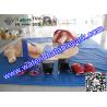 Buy cheap Inflatable Sport Games Sumo Suits for Kids , Rent Sumo Wrestling Suits Hire from wholesalers