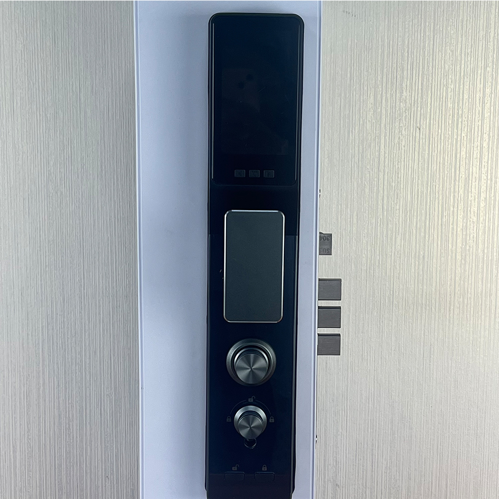 Smart Fingerprint House Door Lock Face Recognition Aluminum Alloy Material