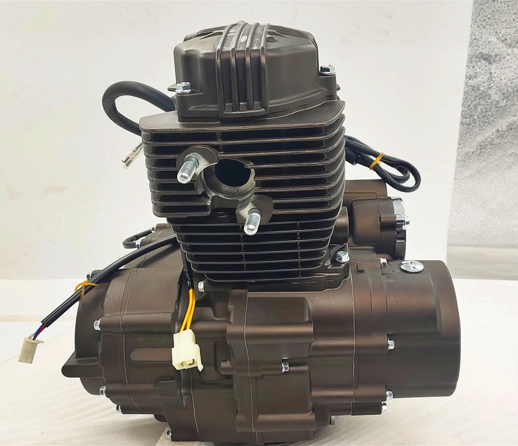 Single Cylinder Four Stroke Style DAYANG LIFAN Engine Assembly for CG150cc Motorcycle