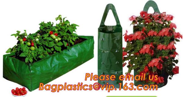 Plastic Hanging Growing Strawberry Bags Planter ,Hanging Strawberry Planter Bags