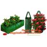 Buy cheap 4 pocket, 6 pockets, 9 pocket bags, handle grow bags, Hanging Plant Bags,Hanging Strawberry Flower Bag Planter Pouch gro from wholesalers