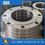 Pn6-100 Forged Stainless Steel Flanges Neck Welded Duplex Steel Flanges National