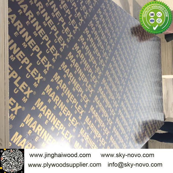 Buy cheap Black film faced plywood /formwork/shuttering boards from wholesalers