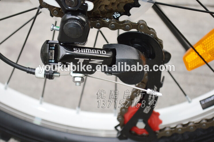 Portable Carbon Fiber 20 Inch Folding Mountain Bike