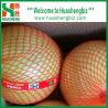 Buy cheap Chinese Fresh Pomelo from wholesalers